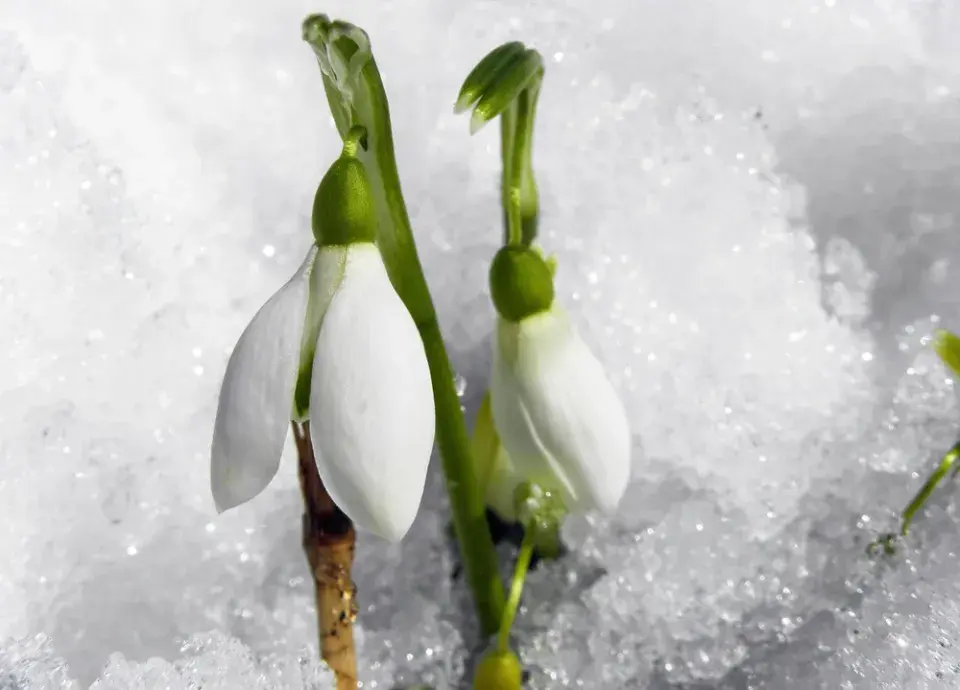 Jaké bude počasí o víkendu? Valentýn bude tentokrát na sněhu