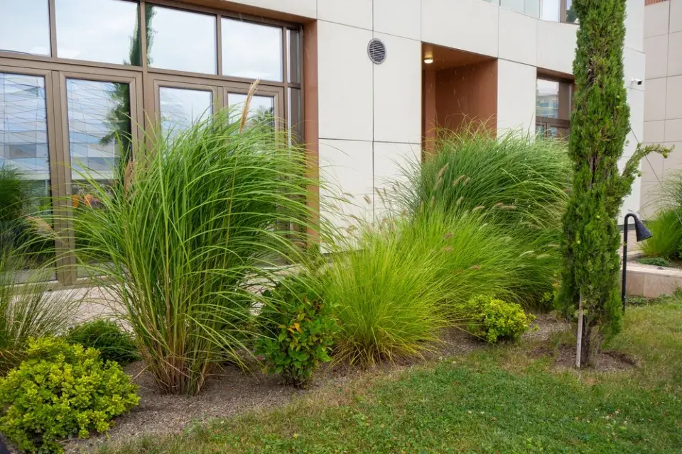 Předzahrádka u domu