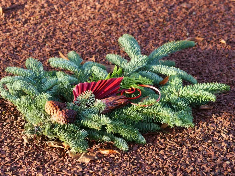 Jednoduchá kytice z chvojí