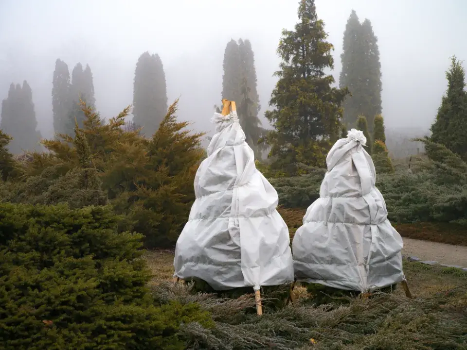 Jaké bude počasí o víkendu? Valentýn bude tentokrát na sněhu