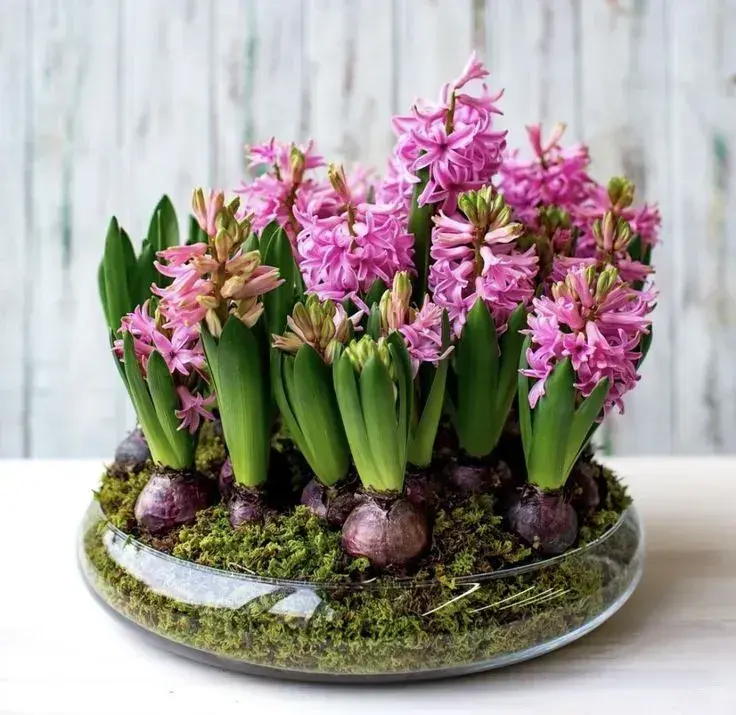 Jarní květinová dekorace