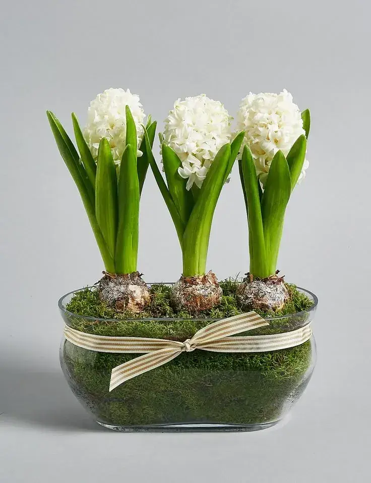 Jarní květinová dekorace