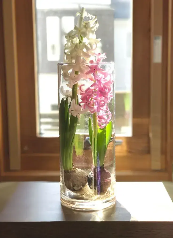 Jarní květinová dekorace