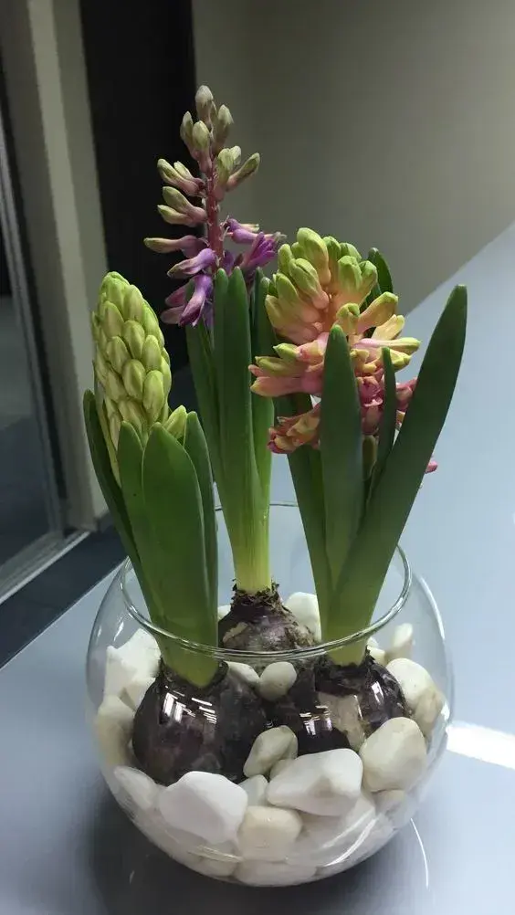 Jarní květinová dekorace