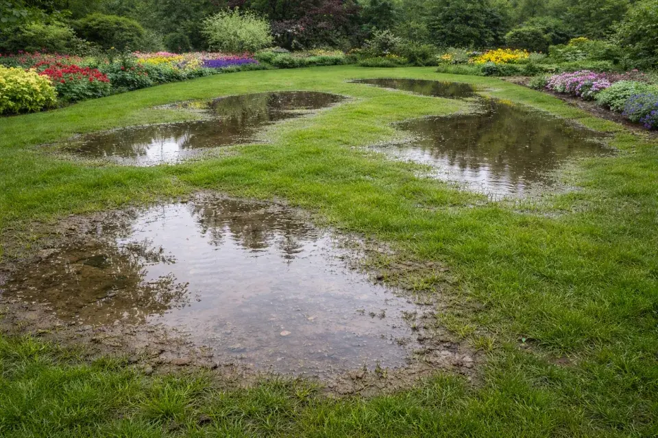 Přebytečná voda v zahradě