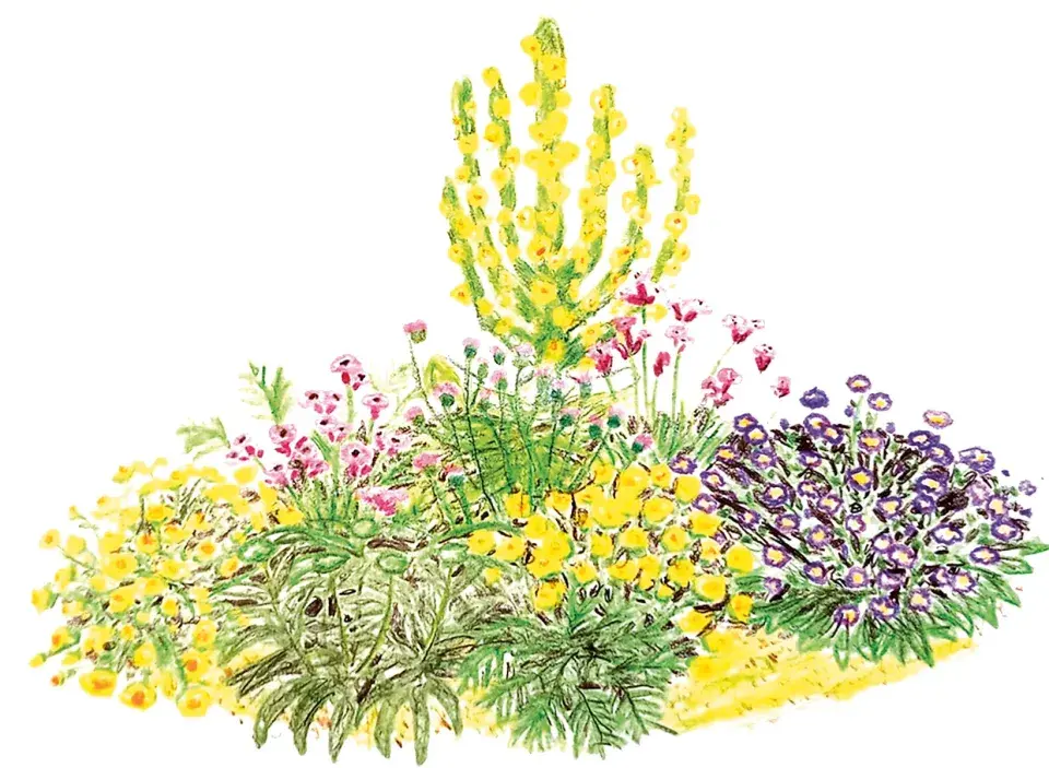 Naše krásná zahrada únor 2026 