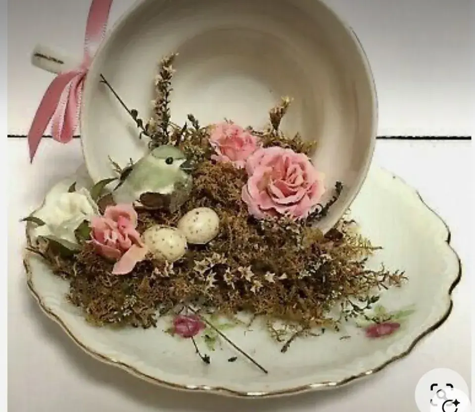 Šálkové hnízdečko 