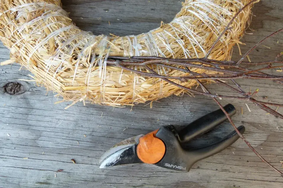 velikonoční modřence