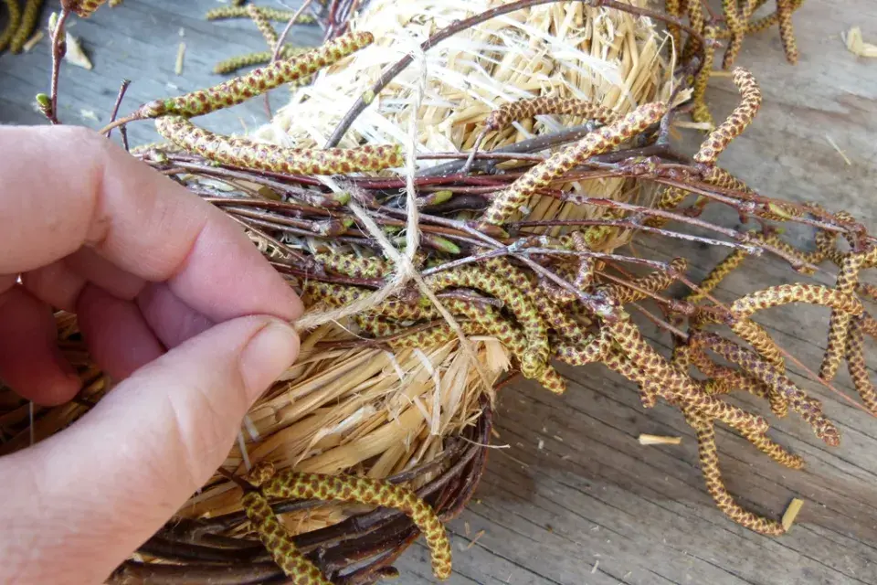 velikonoční modřence