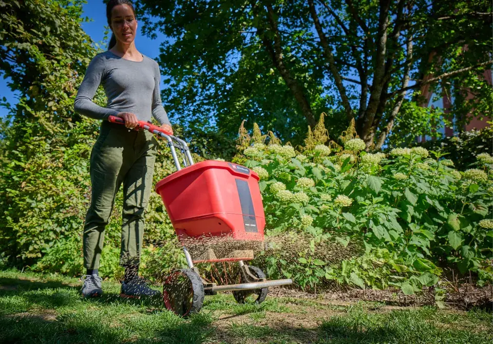 Jak udržet trávník zdravý po celý rok