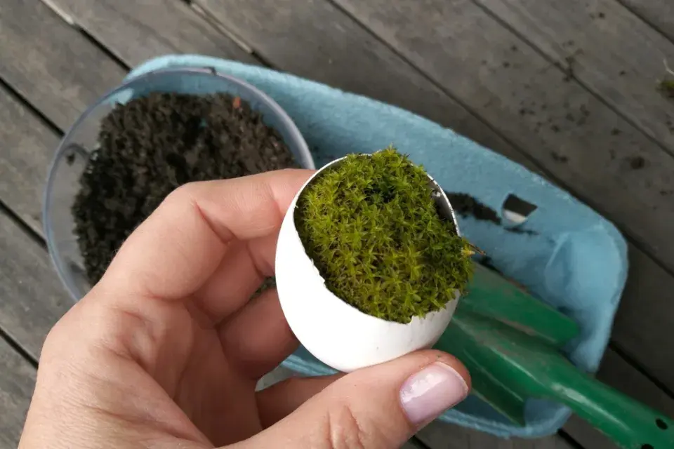 velikonoční dekorace, fialky