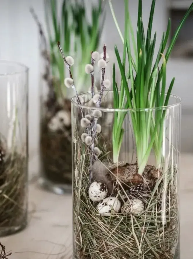 Nejkrásnější velikonoční květiny do vázy: Inspirace pro váš domov