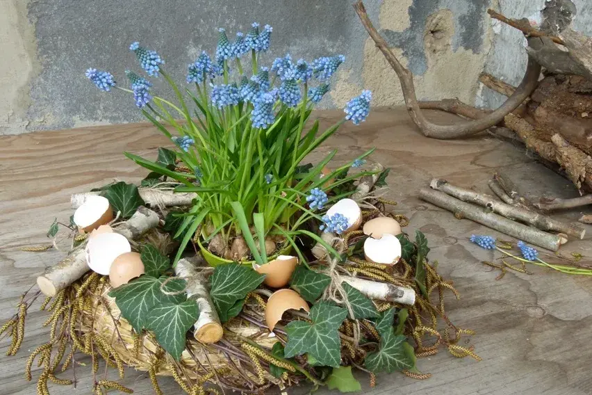 velikonoční modřence