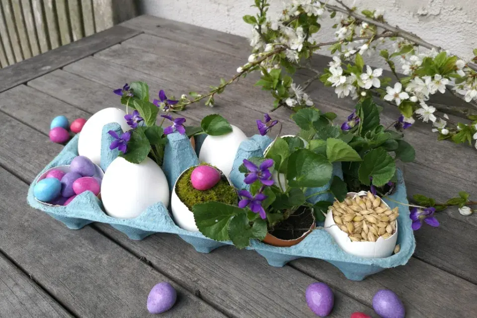 velikonoční dekorace, fialky