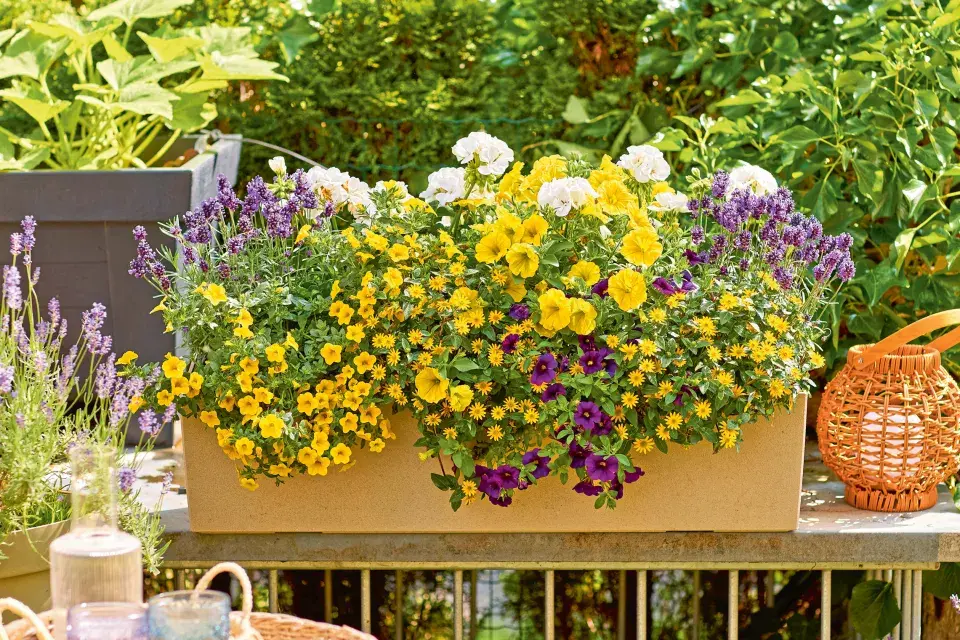 Naše krásná zahrada duben 2026