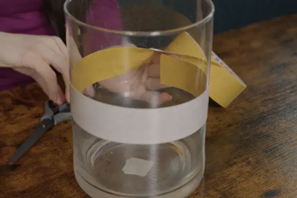 Nejkrásnější velikonoční květiny do vázy: Inspirace pro váš domov