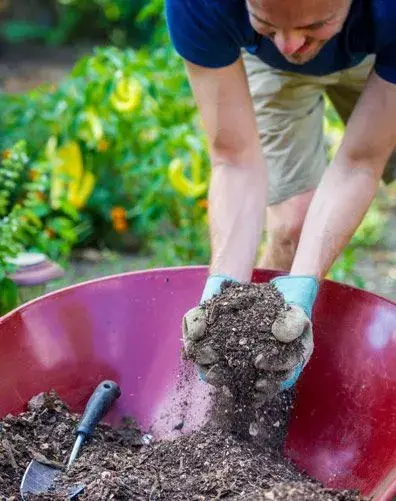 Použití starého substrátu