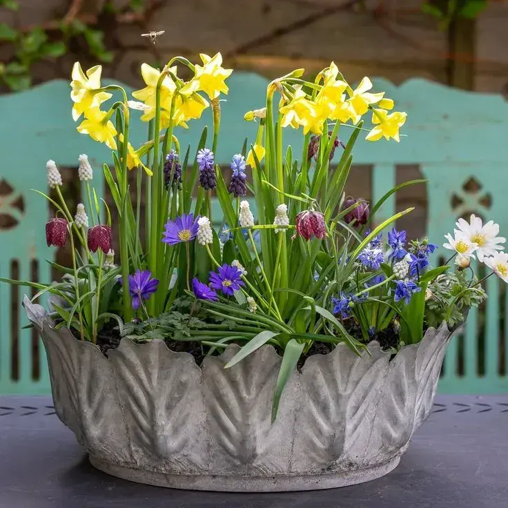 Jarní osázené mísy