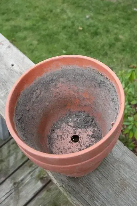 Použití starého substrátu