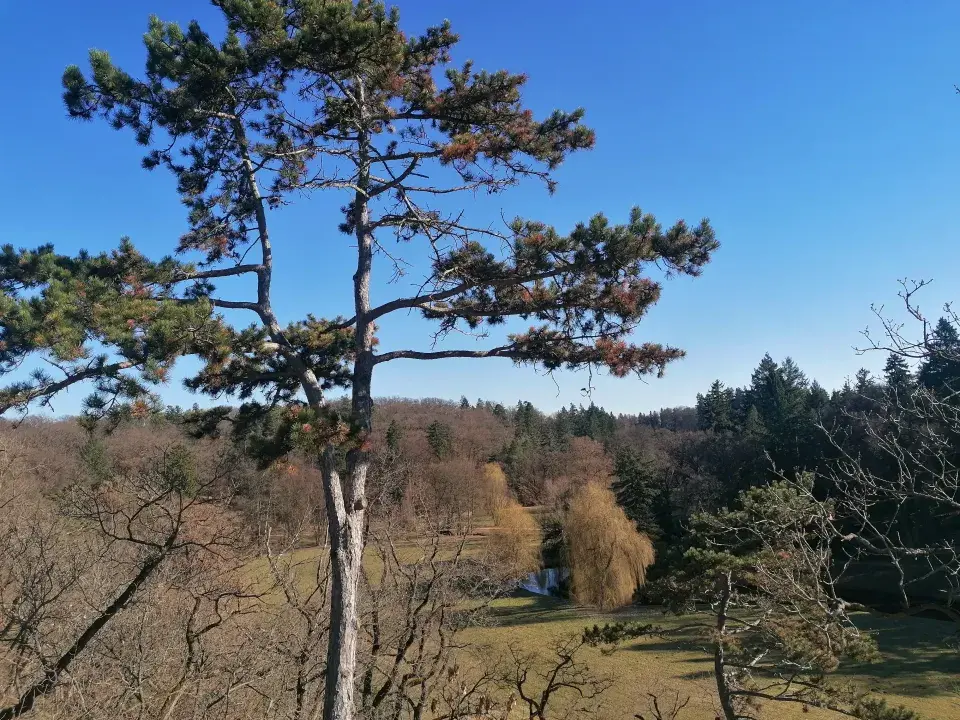 Výhled z Vyhlídkové věže Gloriet