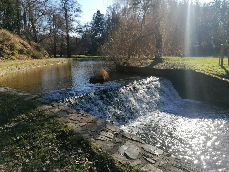 Vodní plochy v parku