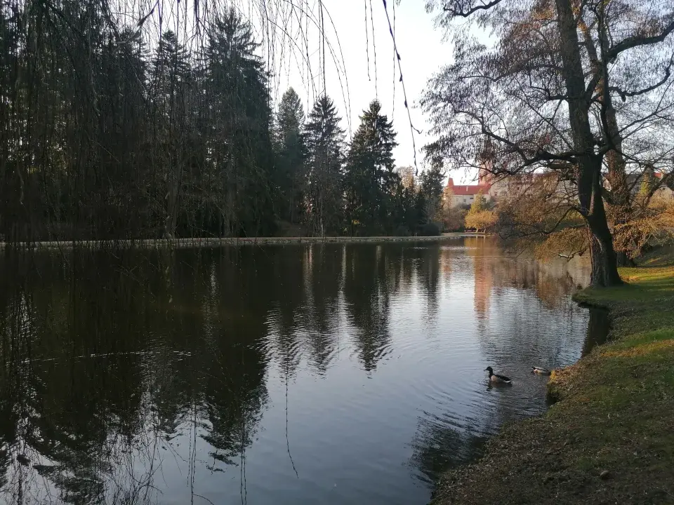 Podzámecký rybník