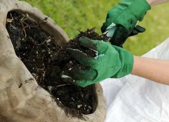 Použití starého substrátu