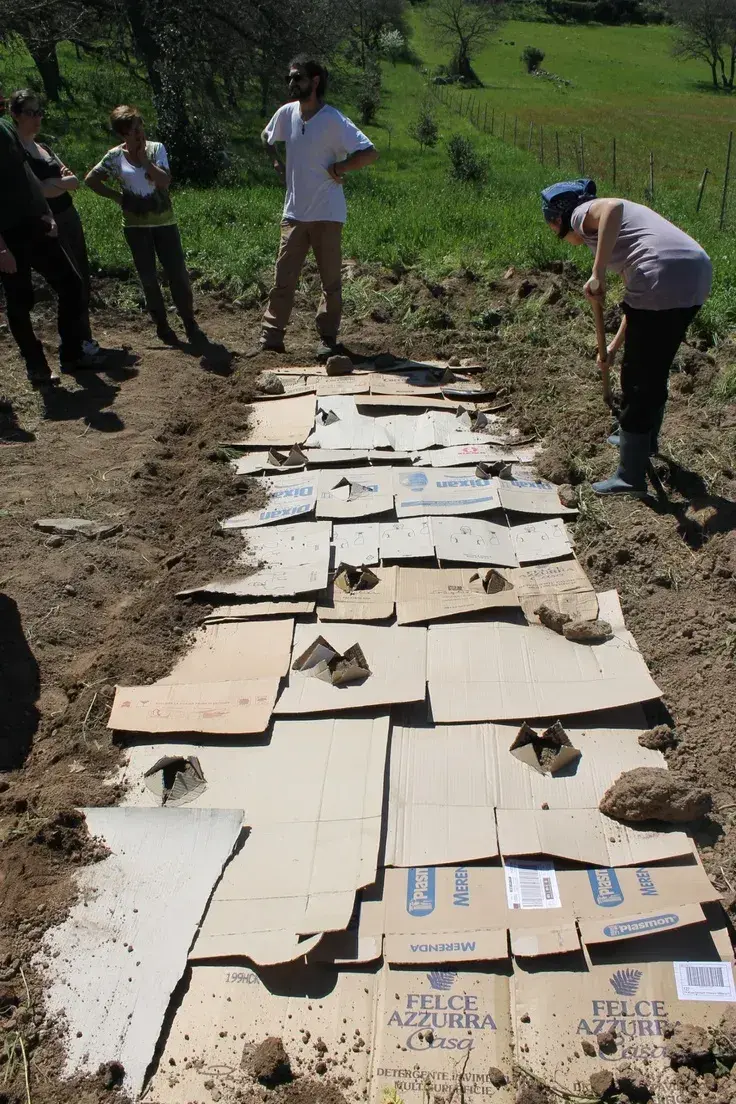 Odstranění plevele 