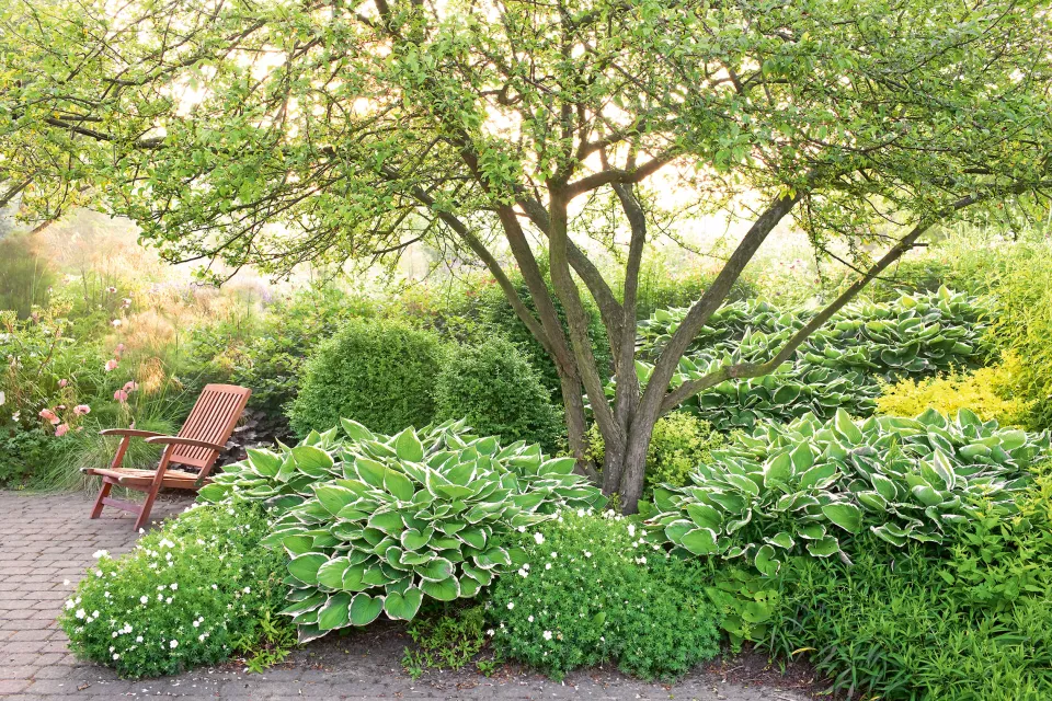 Naše krásná zahrada duben 2026 