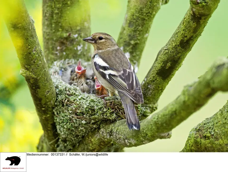 Naše krásná zahrada duben 2026