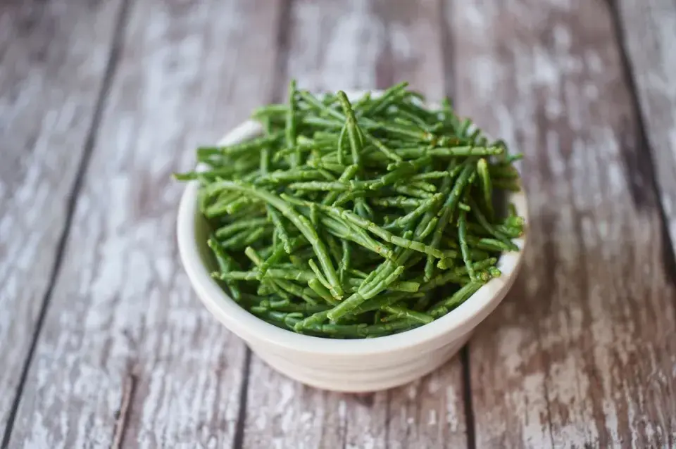 Neobvyklá bylinka slanorožec