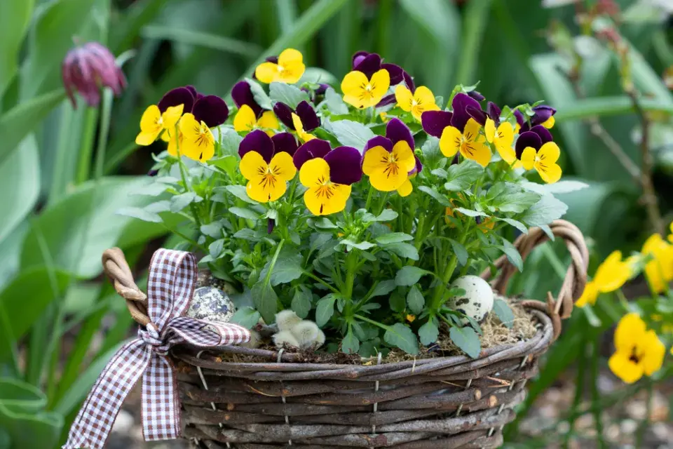 velikonoční košík