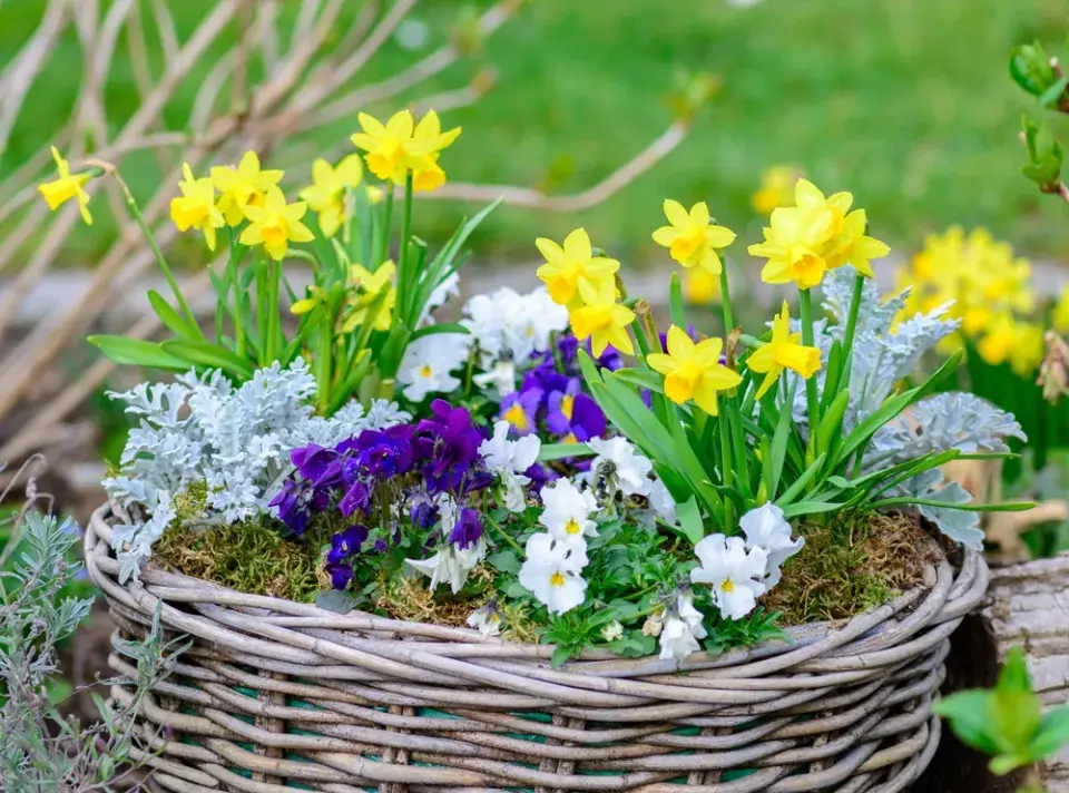 velikonoční košík