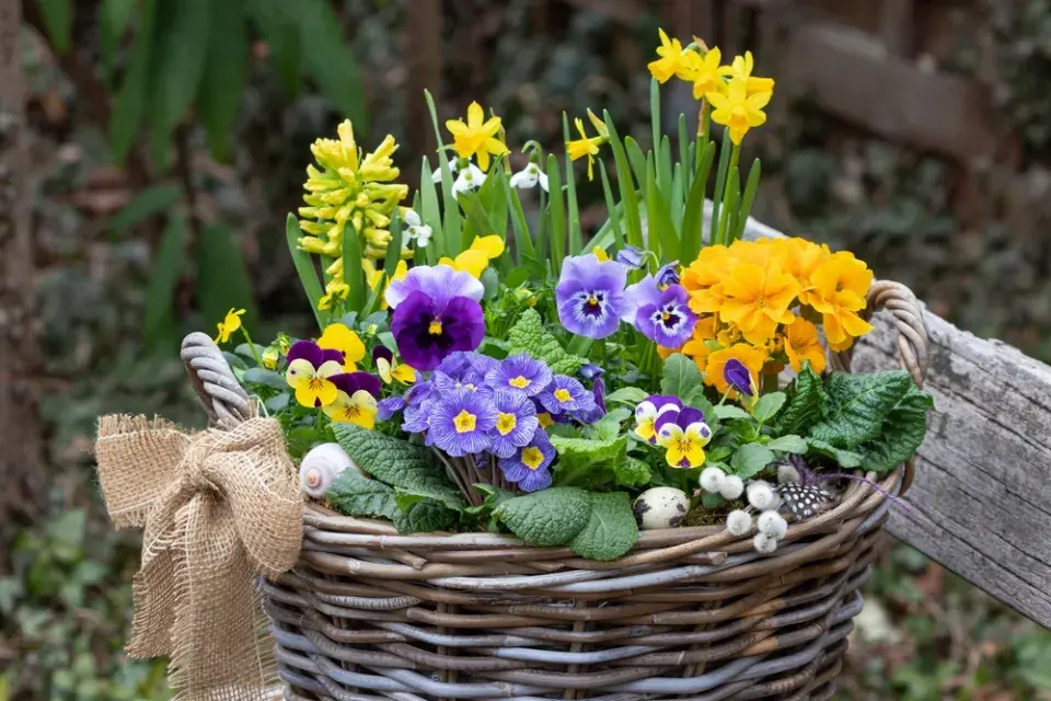 velikonoční košík