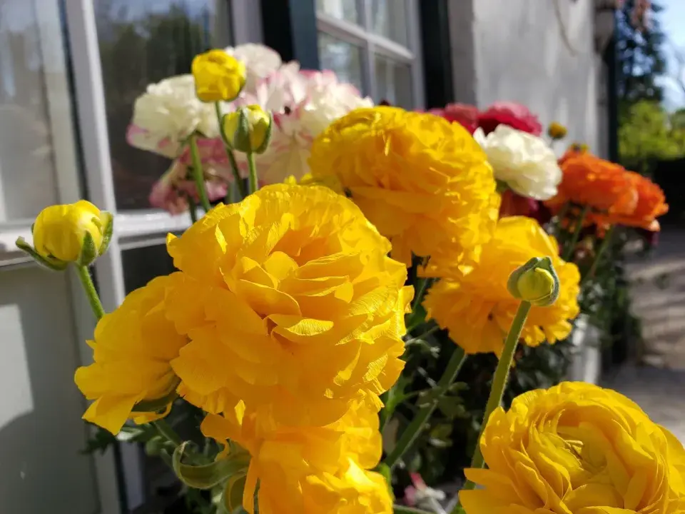 Březnové jarní truhlíky 