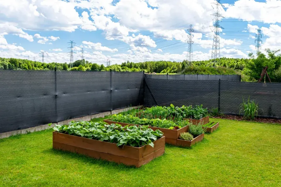 Výška plotu v praxi: kdy ještě chrání soukromí a kdy už škodí sousedům