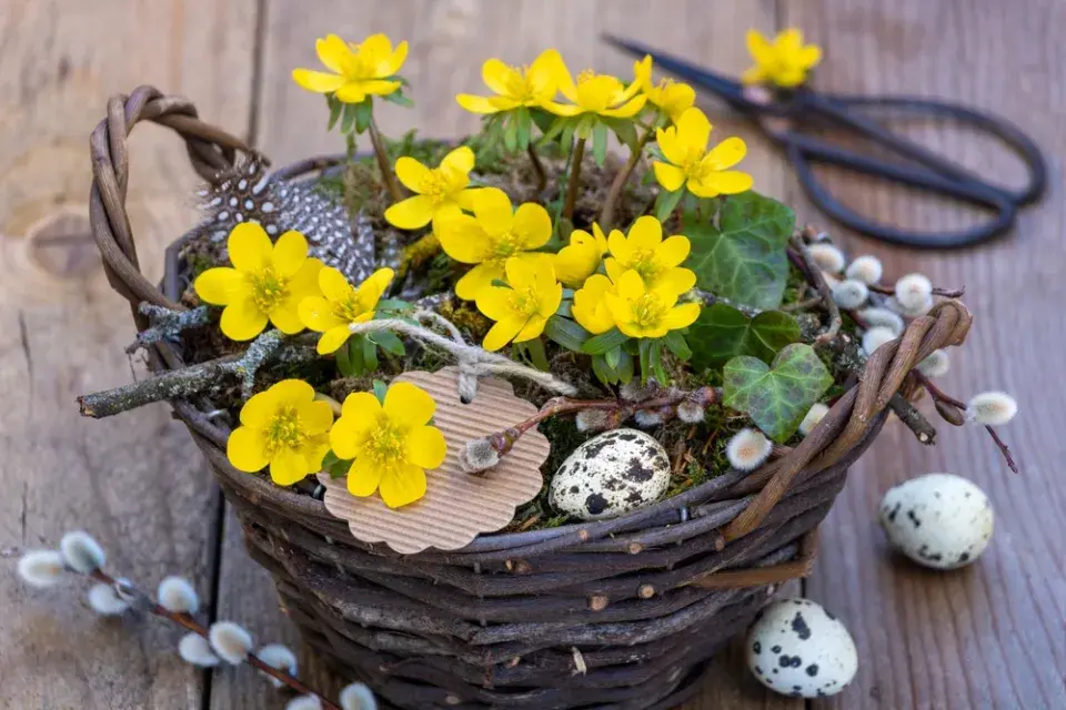 Pašijový týden v zahradě: Květiny, tradice a jarní probuzení