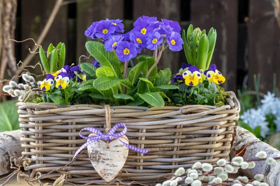 velikonoční košík