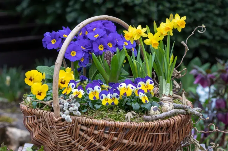 velikonoční košík