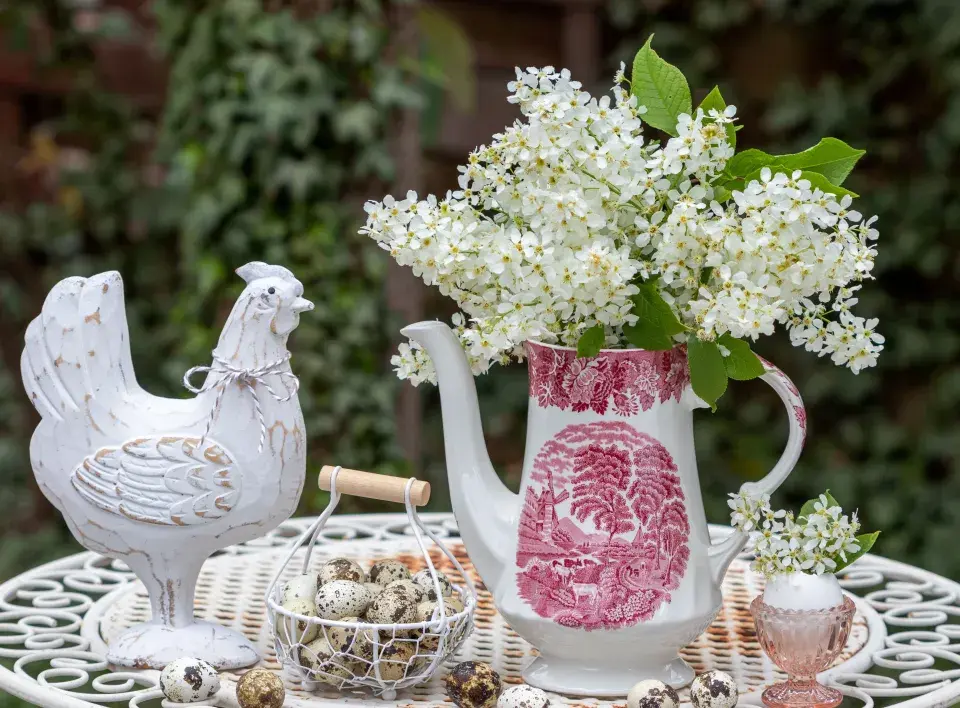 Střemcha obecná (Prunus padus) 