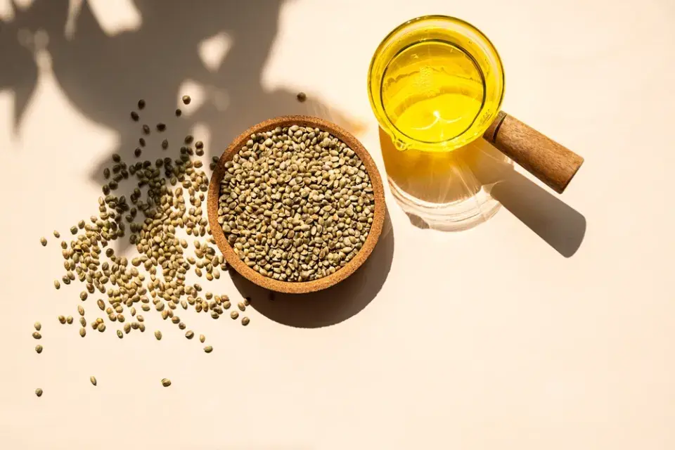 Pěstování máku a konopí: rostliny, které mohou být na zahradě legálně, ale jen za určitých podmínek