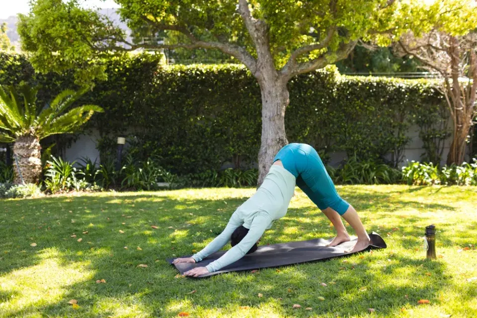 Stávající dřeviny v zahradě