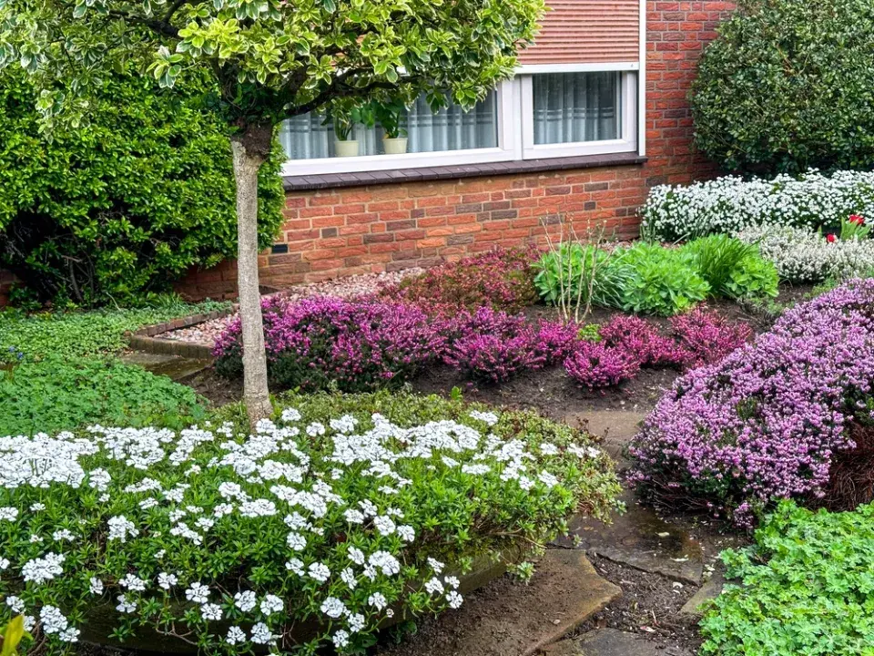 Bezúdržbová zahrada