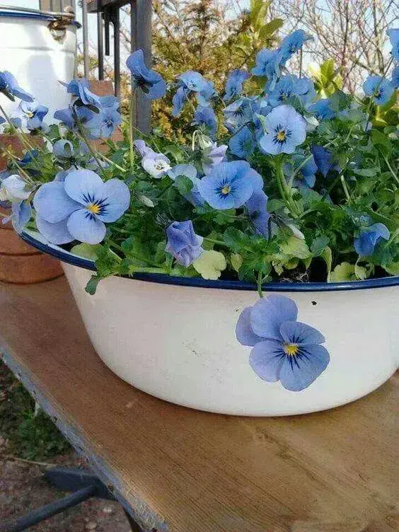 Jarní osázené mísy