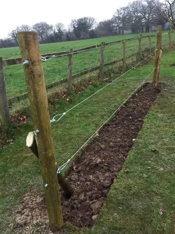 Vedení vinné révy