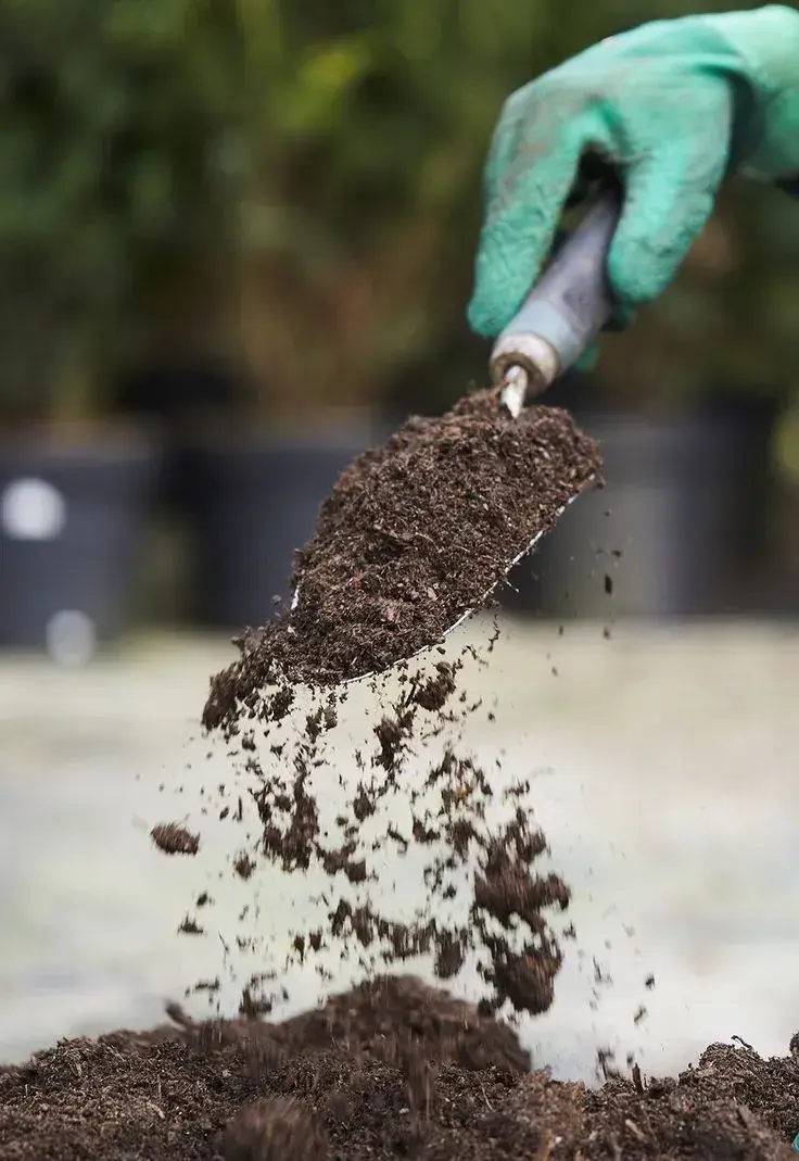 Použití starého substrátu