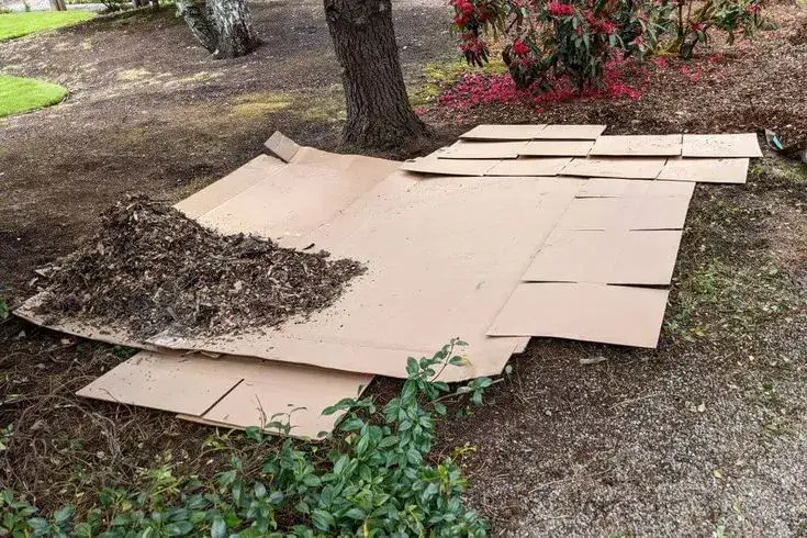 Odstranění plevele 