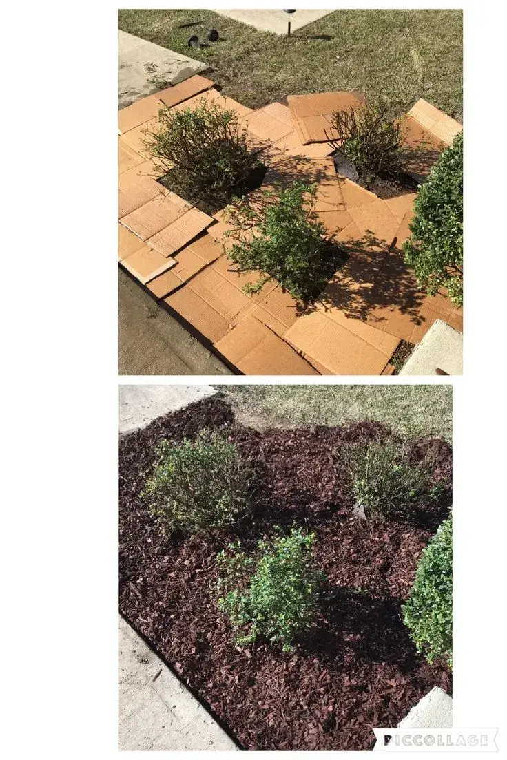 Odstranění plevele 