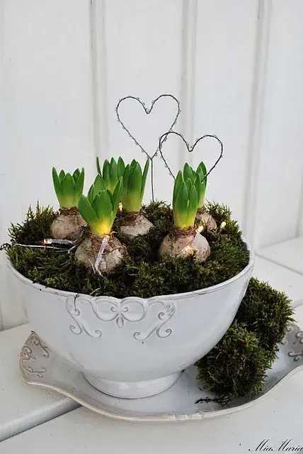 Jarní osázené mísy