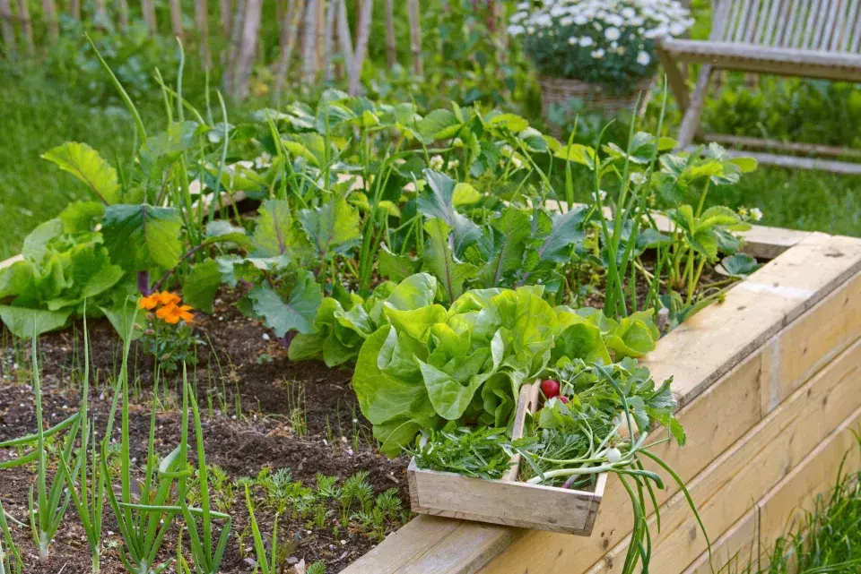 Naše krásná zahrada duben 2026